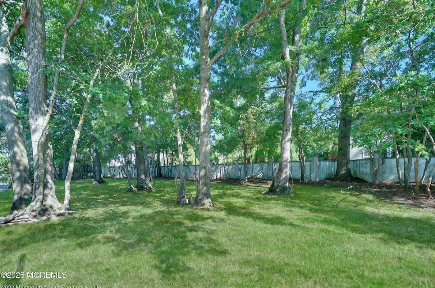 Wooded, fenced backyard